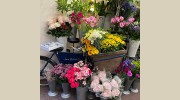 Jane Bidwell Flowers