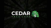 Cedar Tree Care