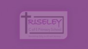Riseley C Of E Primary School