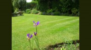 The Shropshire Lawn