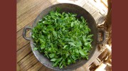 Helen Barnett Herbal Medicine, Thai Yoga Massage, Reflexology