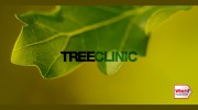 Tree Clinic London
