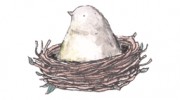 The Nest Nursery