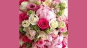 Blossom & Bows