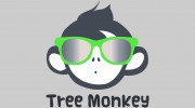 Timber Tree Services