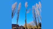 GroundsWise Tree Surgery & Landscaping