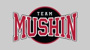 Mushin Matrial Arts Academy