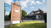 The Hampshire Hog