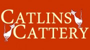 Catlins Cattery