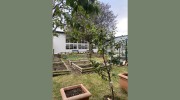 Whitburn Village Primary School