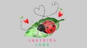Ladybird Lane Childrens Day Nursery