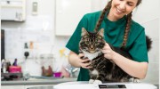Darlaston Petsave Centre