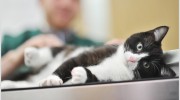 Bourne Veterinary Practice