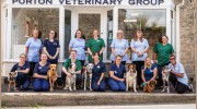 Purton Vets