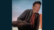 Charlie's Chimney Sweep Service