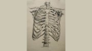 Nick Steele Osteopath