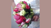 Lloyds Flowers
