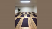 Yoga Wise
