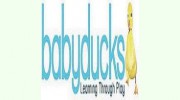 Baby Ducks Within The Parish Centre