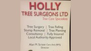 Holly Tree Surgeons