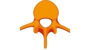The Spinal Joint