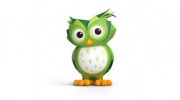 Wise Energy Solutions