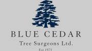 Blue Cedar Tree Surgeons