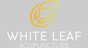 Whiteleaf Acupuncture