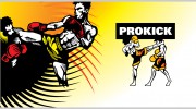 Prokick Gym
