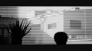 A Shade Blind