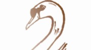 Swan-Robes