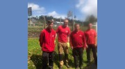 Hoe & Mow Garden Services