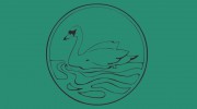 Swanspool Veterinary Clinic