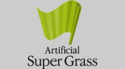 Artificial Super Grass