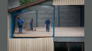 Asbestos Management