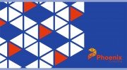 Phoenix Consulting