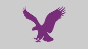 Elite GB Environmental Services