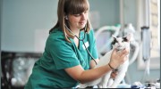 Shipley & Idle Veterinary Centres