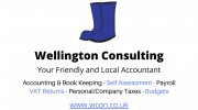 Wellington Consulting