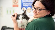 Thanet Vets Margate