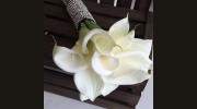 The Ivy Florist