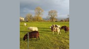Ashfield Holiday Homes