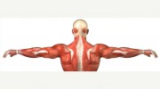 Sharon Lorimer Sports & Remedial Massage