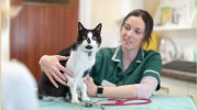 Cambridge Veterinary Group