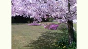 Gardencraft