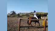 Bryngwyn Riding Centre
