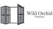 Wild Orchid