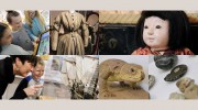 Fairlynch Museum