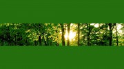 Professional Counselling Service