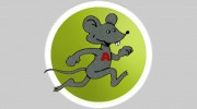 Action Pest Control